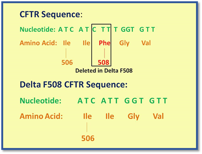 http://helicase.pbworks.com/f/1225729873/f508%20image.jpg