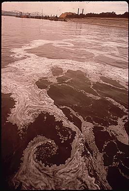 http://www.epa.gov/history/images/p12b.gif