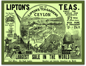 https://virtuallearningacademy.net/VLA/LessonDisplay/Lesson4710/SSWHU10_The_Colonizer_image018.png
