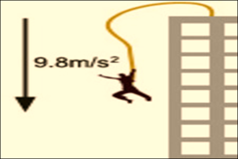 Image result for acceleration due to gravity