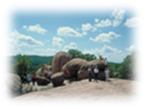 R_MO_IMG0023book2-2