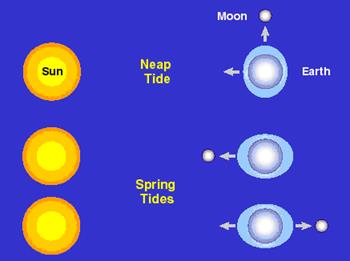 Neap and Spring Tides