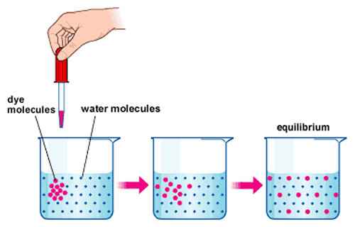 http://isite.lps.org/sputnam/Biology/U3Cell/diffusion_1.png