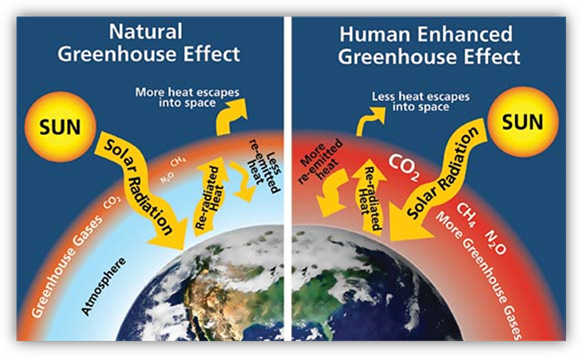 http://sites.socsdblogs.org/dkramarczyk/files/2012/01/Greenhouse-effect.jpg