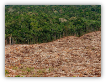 http://3.bp.blogspot.com/-SbnG6ja45Fs/TWW4pAEBOaI/AAAAAAAAAK4/mDlKRjKZVps/s1600/deforestation-en-amazonie_940x705.jpg