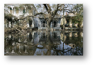 The Aftermath of Hurricane Katrina
