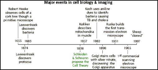 http://www.biology.arizona.edu/cell_bio/tutorials/cells/graphics/timeline.gif