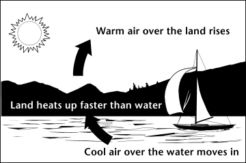 Image of how uneven heating of water and land causes wind. 

Land heats up faster than water.

Warm air over the land rises.

Cool air over the water moves in.