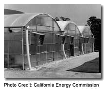 Geothermally heated greenhouse