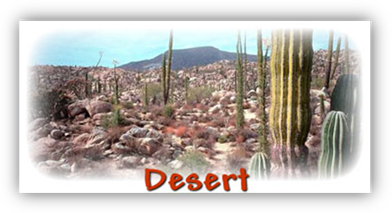 Desert