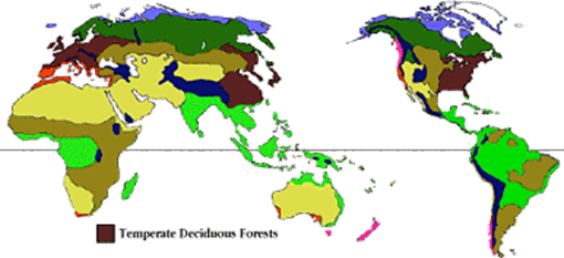 Biome Map