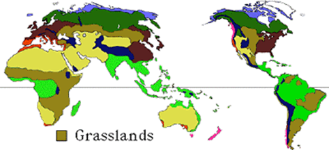 Grasslands Biome Map