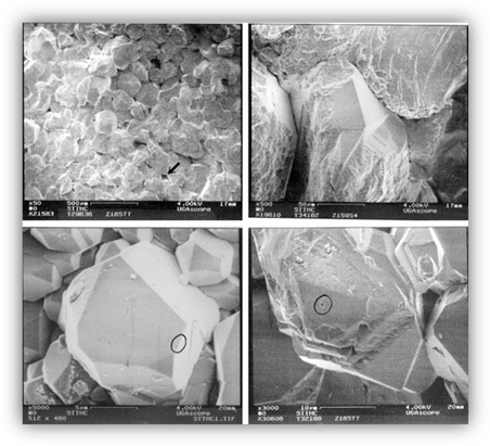 http://www.geology.wisc.edu/courses/g112/Rocks/sndstone_magnified.jpeg