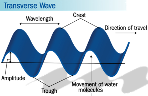 A transverse wave causes a disturbance in a medium perpendicular to the direction of the advancing wave.