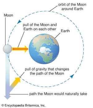 effects of gravity on the Moon and Earth
