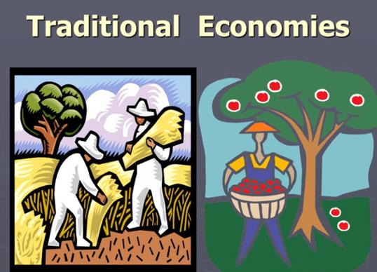 What is a Traditional Economy? - Definition, Characteristics