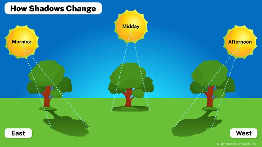 A diagram showing the changing size and direction of the shadow of a tree as the Sun seems to move from east to west during the day.