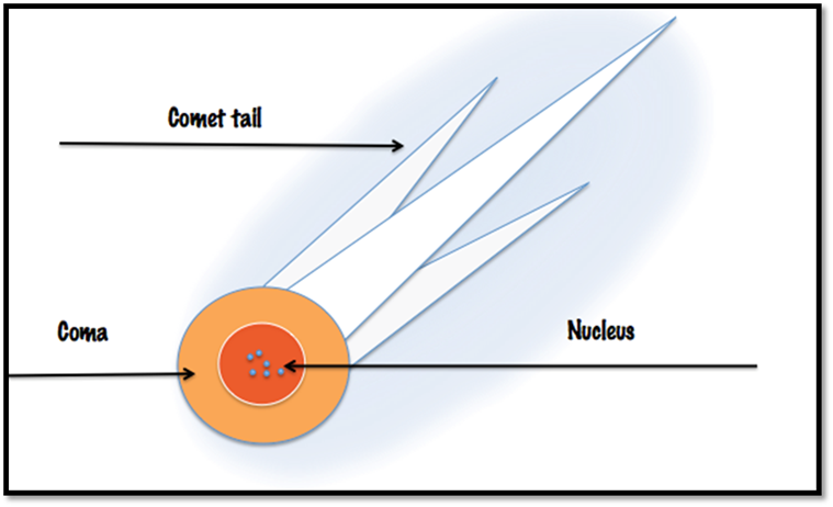 Nucleus is the inner portion of the comet, Coma is the outer layer of dust and gas around the comet, and the Comet Tail is the dust that forms as the comet travels. 