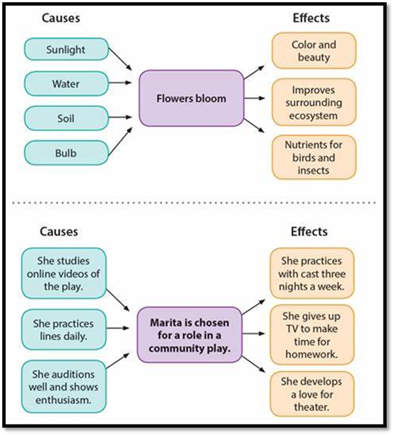 Warm-Up for Cause-Effect Essays | Thoughtful Learning K-12