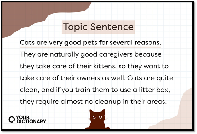 Cat icon with Topic Sentence Example