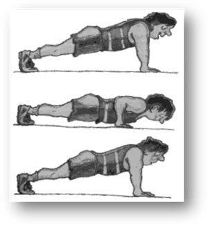 correct body position for push-ups (GIF, 10 kB)