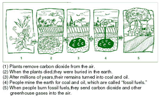 http://www.epa.gov/globalwarming/kids/images/difference2.gif