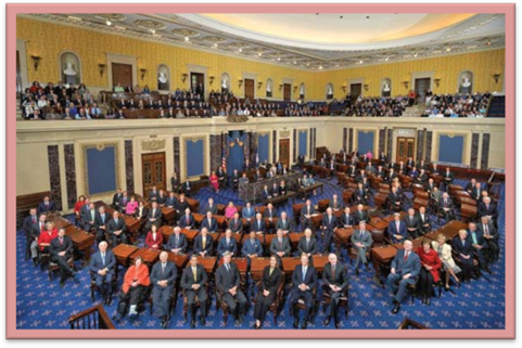 Photograph:Chamber of the U.S. Senate, Washington, D.C.