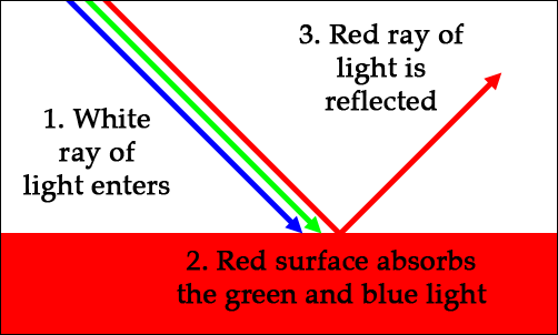 Image result for light absorption