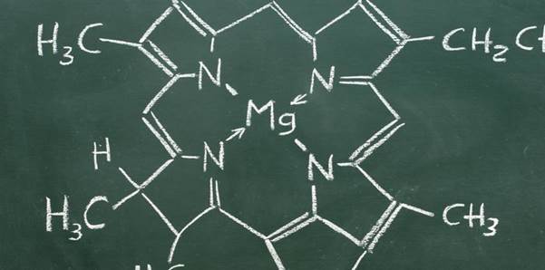 Image result for elements form compounds