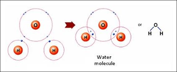 Covalent Bond in Water Molecule