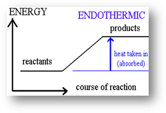 Image result for endothermic reaction