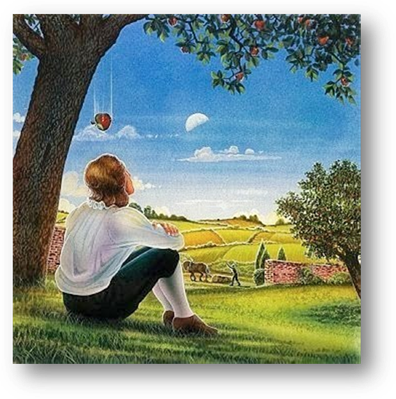 Image result for newton apple tree
