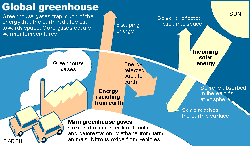 http://image.guardian.co.uk/sys-images/Guardian/Pix/maps_and_graphs/2000/11/14/climate_greenhouse2.gif